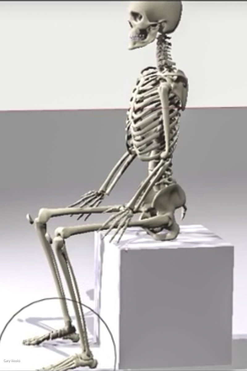 skeleton sitting