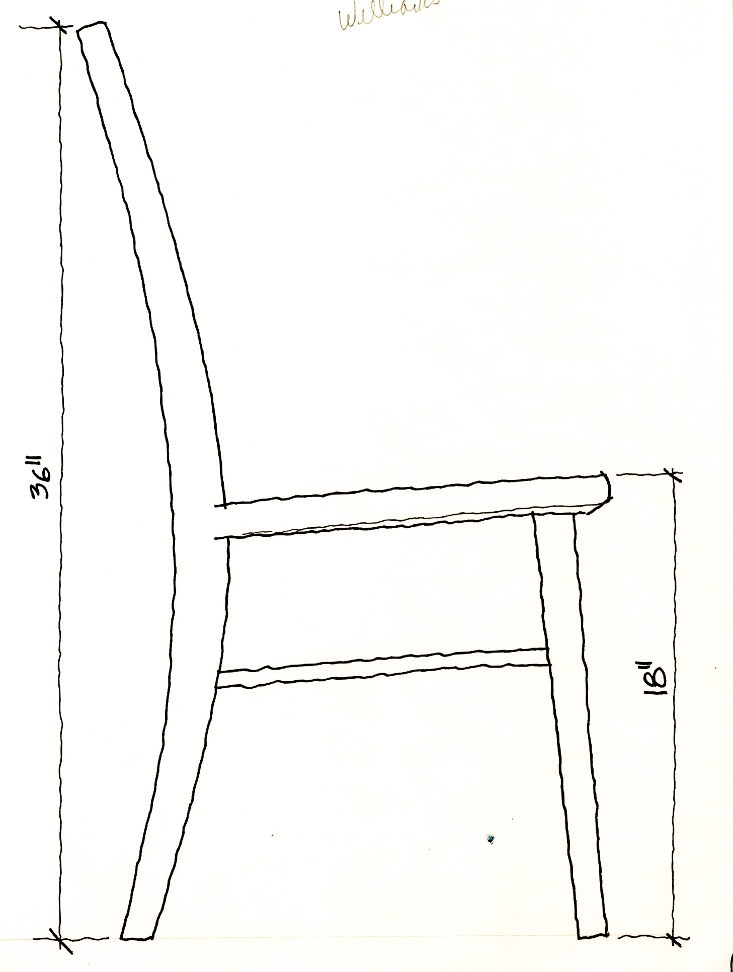 Williams Side View Dims