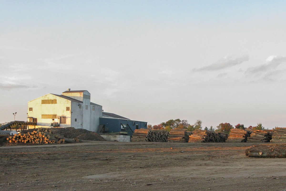 Kane Hardwoods Sawmill and Log Yard