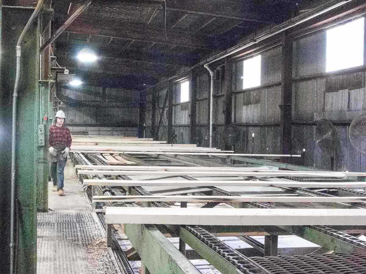 grading chain in Kane sawmill