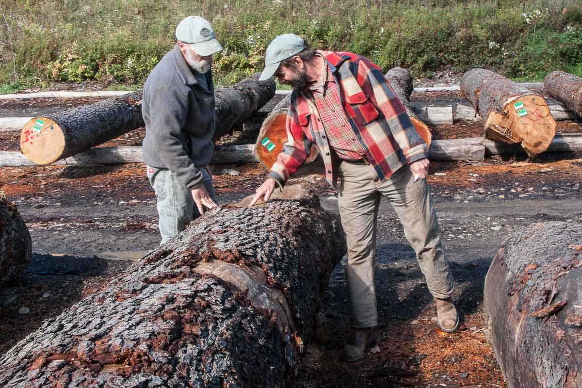 Lou and Max evaluating logs
