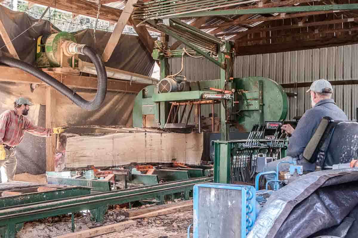 Max and Lou sawing a butternut log