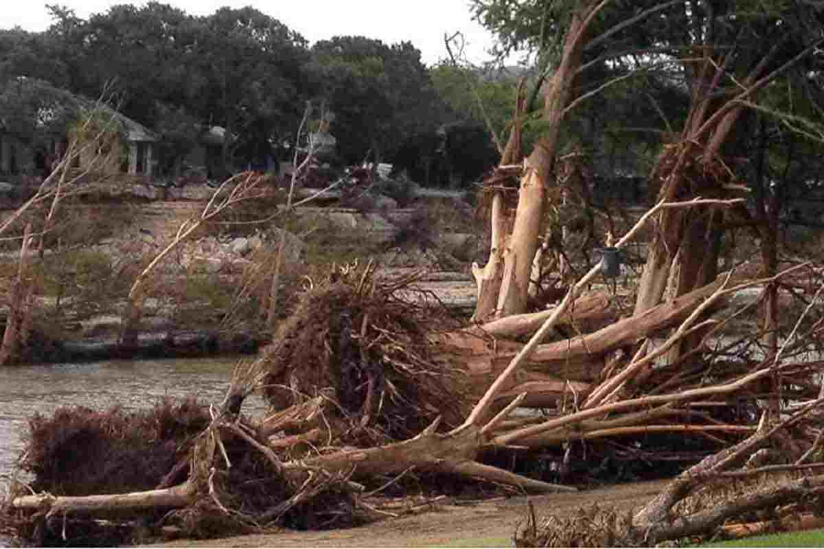 the Blanco River bank after the flood